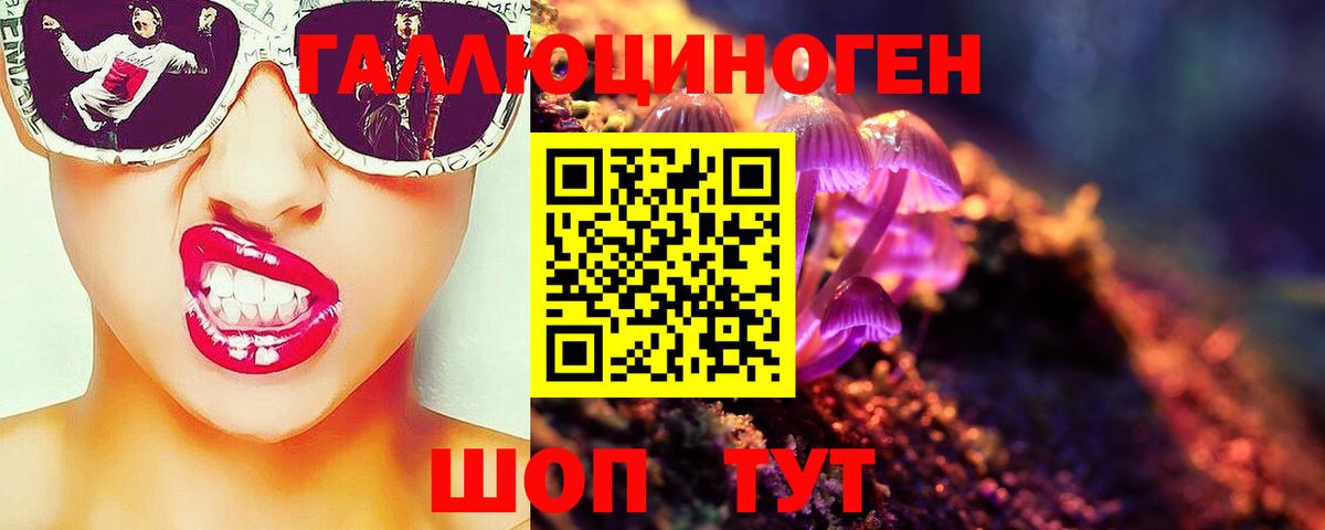 Псилоцибиновые грибы GOLDEN TEACHER Тюмень